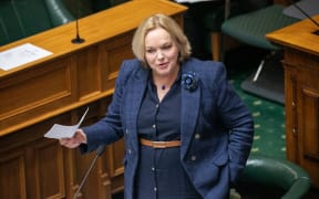 Defence Minister Judith Collins during the Committee of the Whole House stage