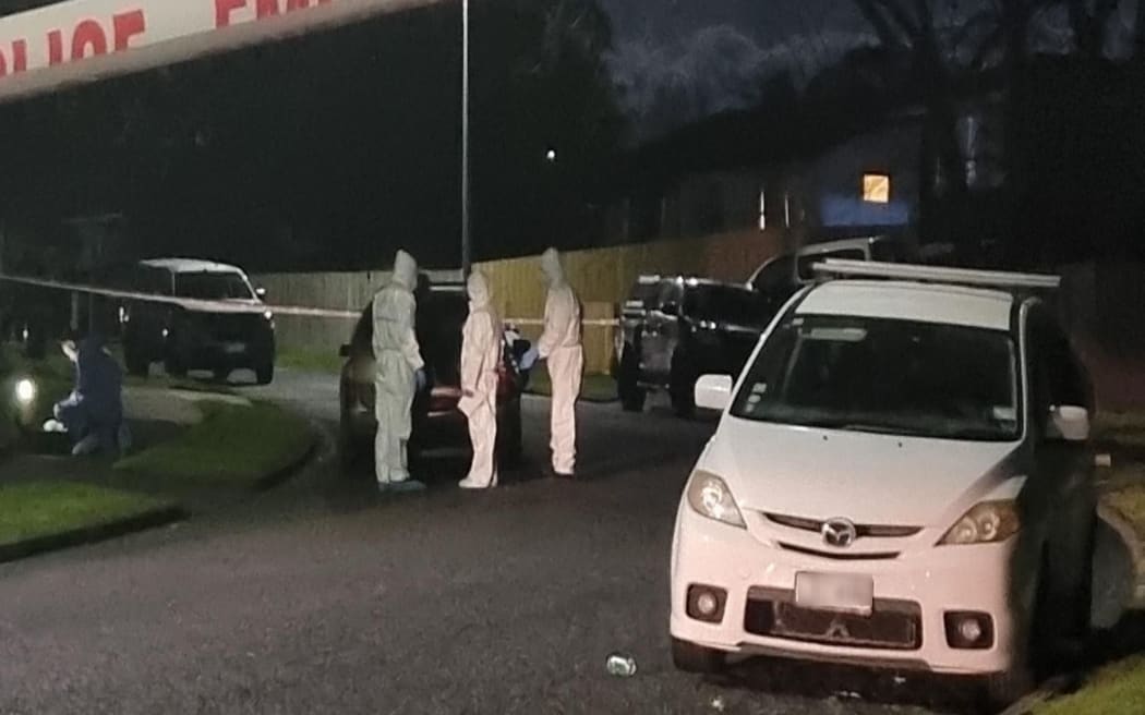 Two bodies loaded into vehicle at Moncrieff Avenue in Clendon Park