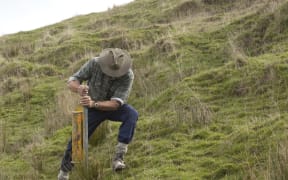 Planting willow and poplar poles helps stabilise sloping land.