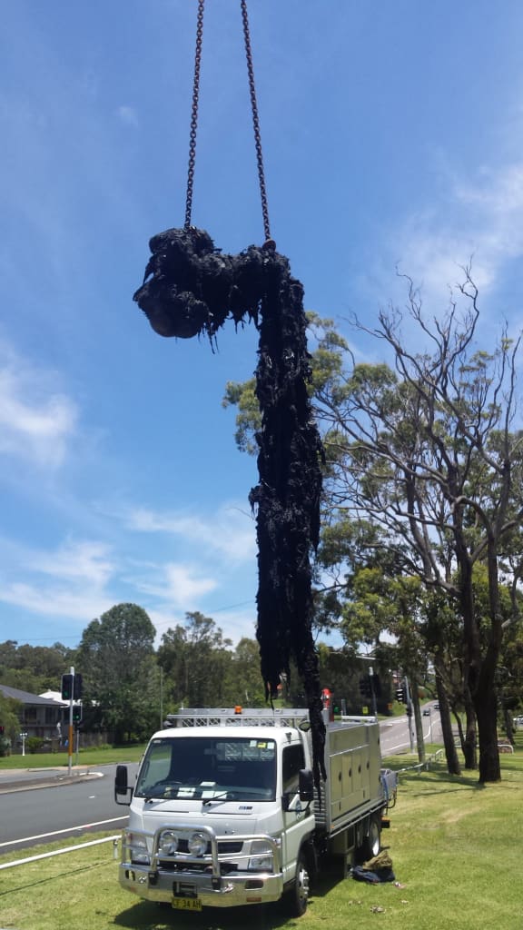 The wet wipes 'fatburg' removed from a sewerage pipe in Eleebana, NSW.