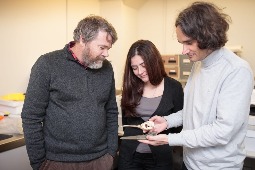 Rosie's Penguin researchers Dr Paul Scofield (L), Dr Vanesa De Pietri and Dr Gerald Mayr.