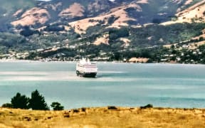 Cruise ship in Akaroa Harbour
