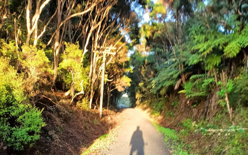 riding the Twin Coasts Cycle Trail near Opua.