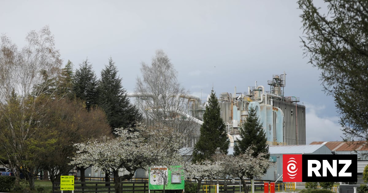 Pellet factory and data centre proposed for old Winstone Pulp site