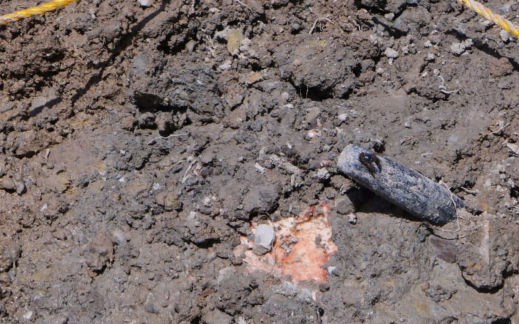 A spade in the ground with a fly on top.