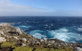 The ocean view from the sub-antarctic Auckland Islands