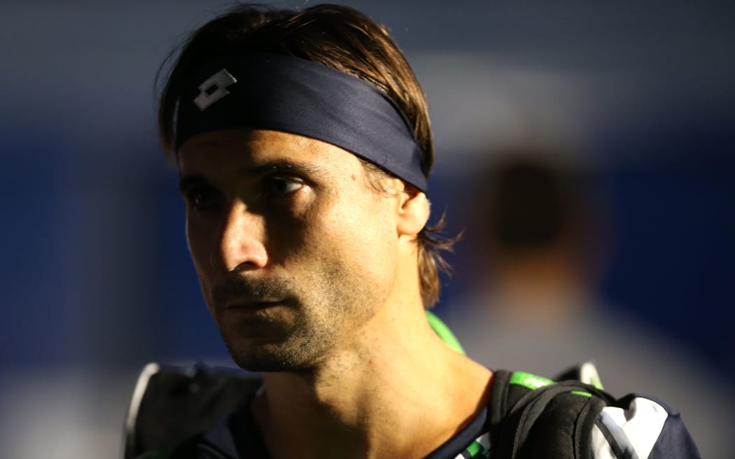 David Ferrer