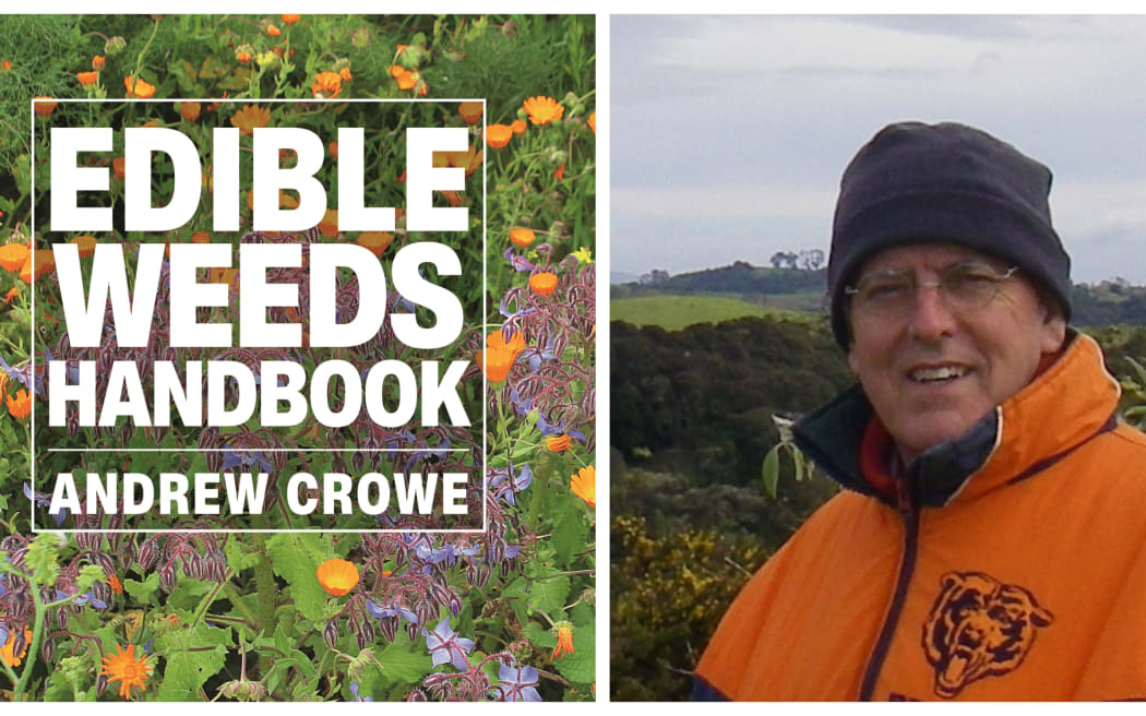 Andrew Crowe has written a guidebook to edible weeds