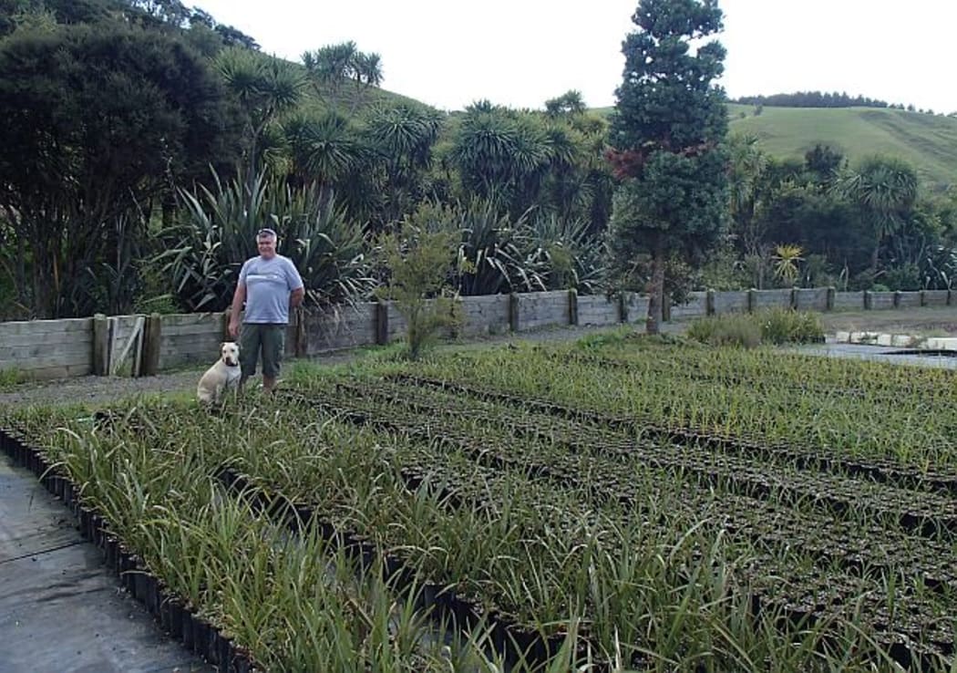Fred Lichtwark and his dog at the Whaingaroa Harbour Care nursery,