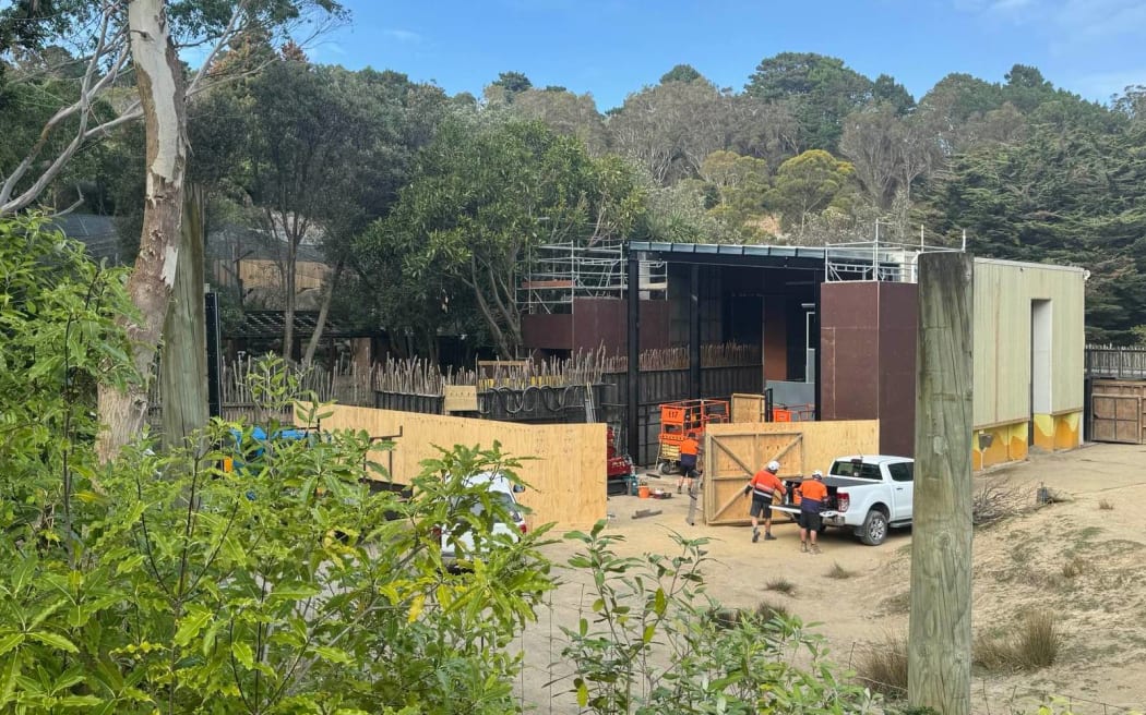 Wellington Zoo's giraffe enclosure.