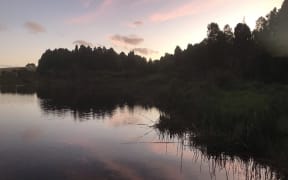 The edge of a lake at sunset. The sky is pinkish and the trees and reedy vegetation at the edge of the lake are silhouetted.