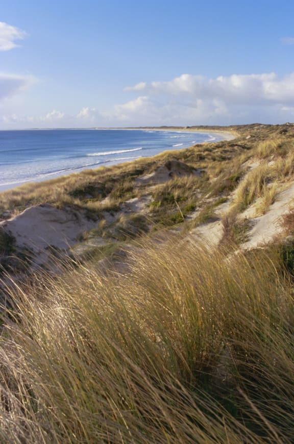 Northern beach, Chatham Islands