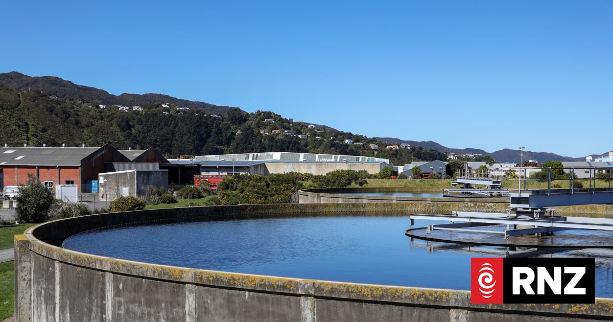 Tiaki Wai spends $150m on 'dreadful' Seaview stench