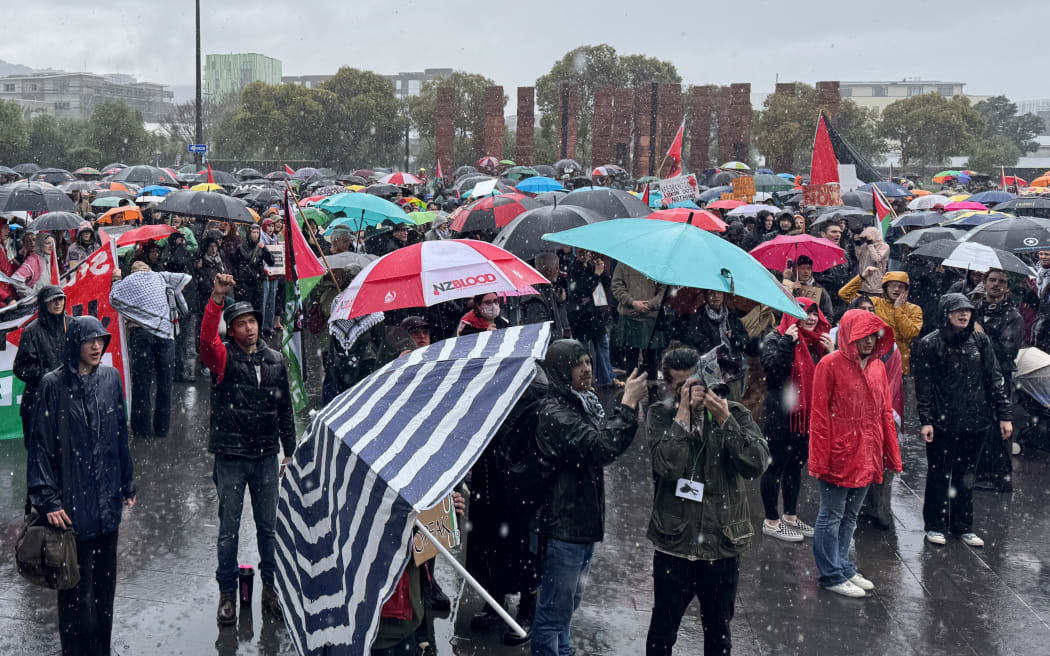 The crowd gathers for a pro-Palestine march in Wellington.