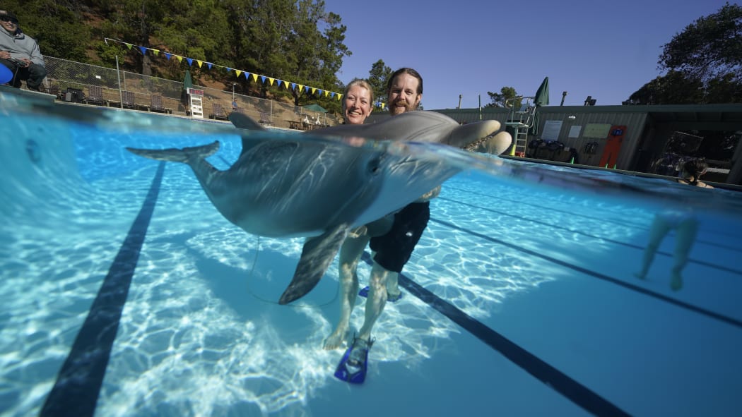 Melanie Langlotz has helped build a life-sized robot dolphin that looks and swims just like a real bottlenose.