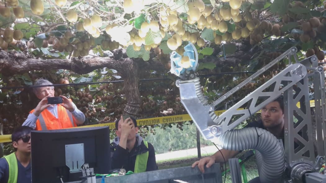 Robotic kiwifruit harvesting in 2016