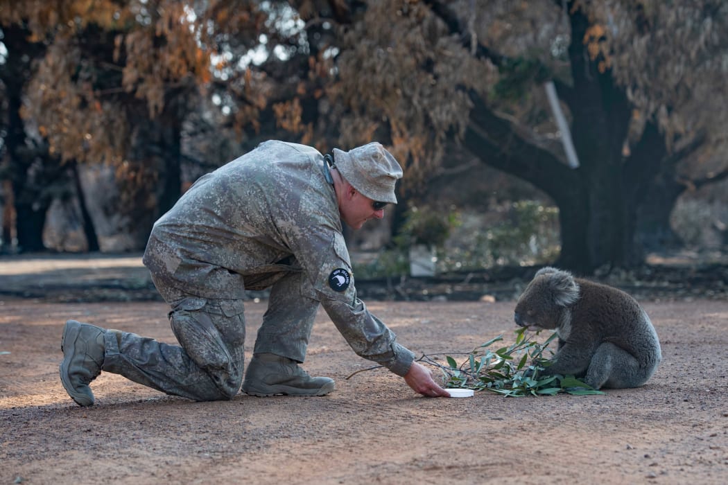 NZ Army's 2ER assist ADF personnel at Kangaroo Island's Hanson Bay Wildlife Reserve during the Australian Bushfires.