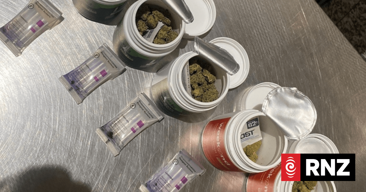 Samoa authorities detain NZ passport holder following marijuana seizure at Faleolo International Airport