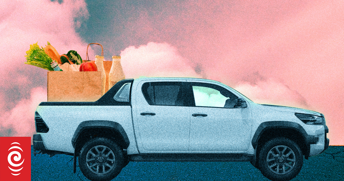 Fuel crisis does little to diminish New Zealanders love for utes, data shows