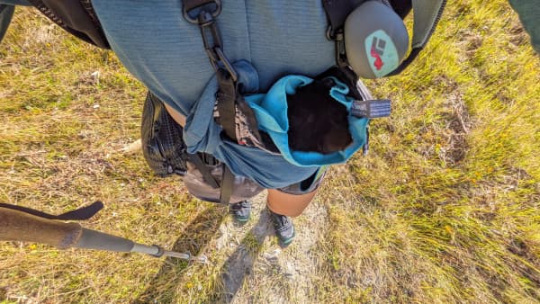 A black kitten curled up in a shoulder bag on a hiker outdoors.