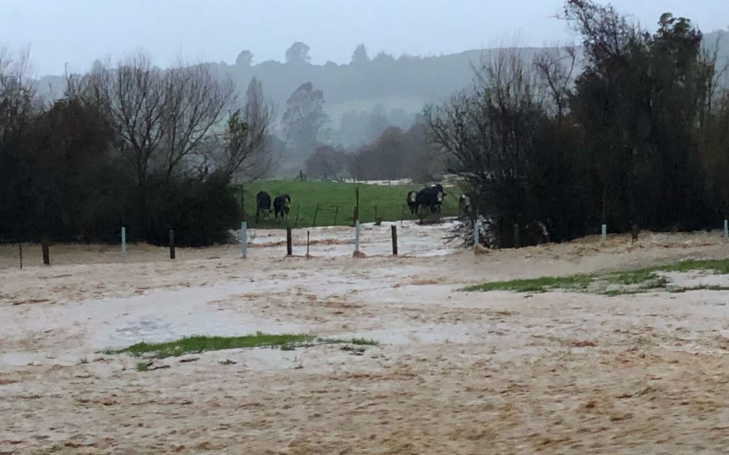 Flooding on a farm at Wai-Iti near Wakefield on 27 June 2025.