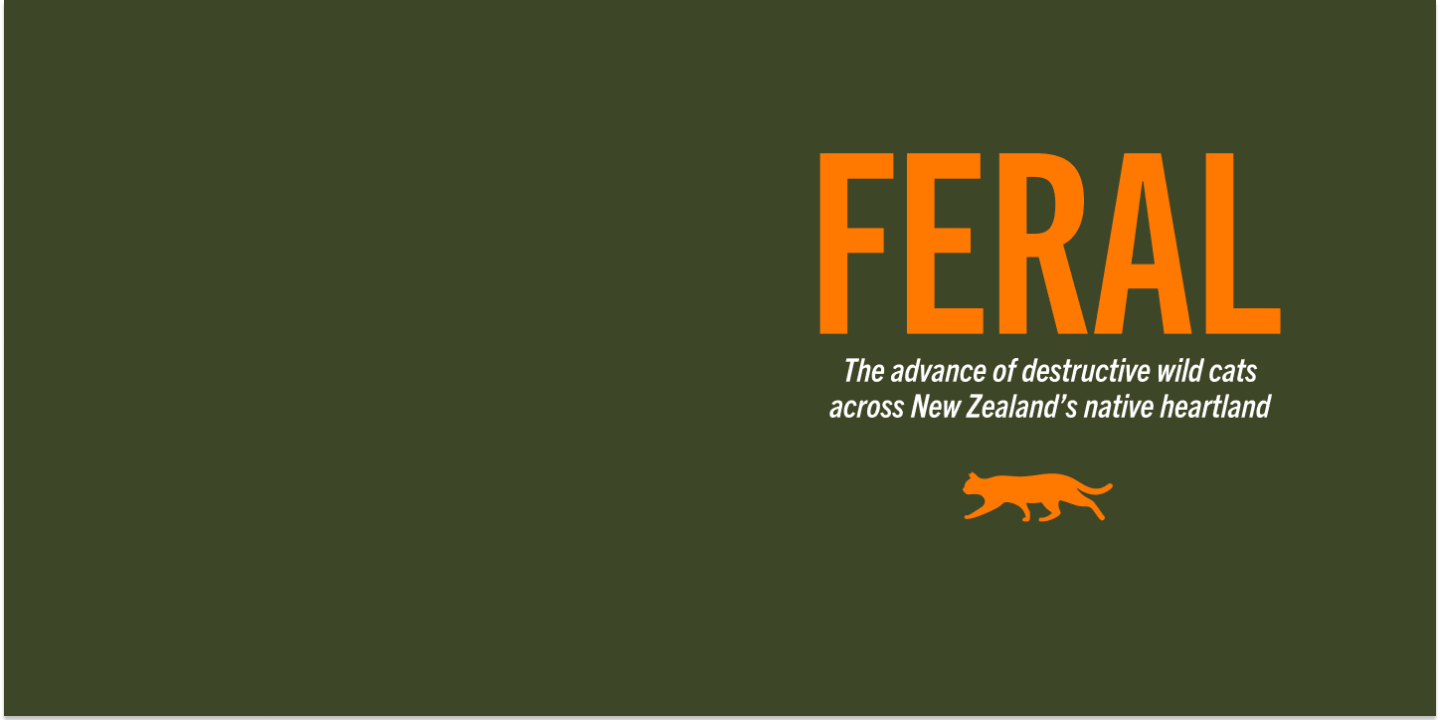 Graphic for Feral