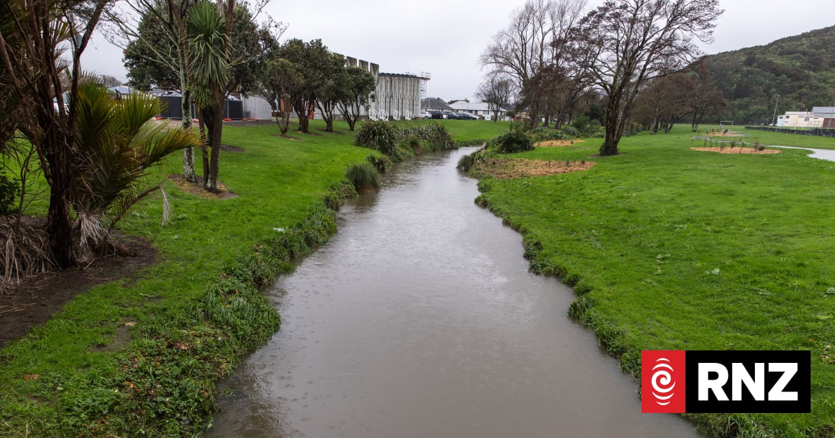 Tiaki Wai warning wastewater discharged in Lower Hutt stream