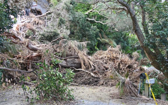 Damage in Muriwai.