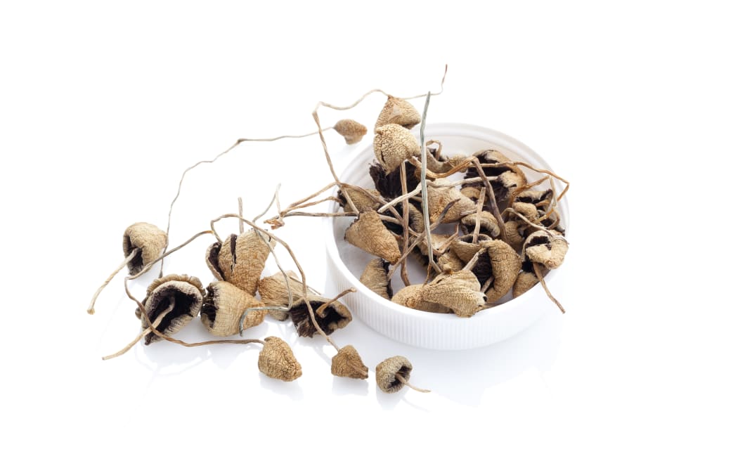 Dried Psylocibyn magic mushrooms in kit. Isolated on white background. Natural remedy.