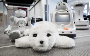 Paro and iRobi robots are proving successful in healthcare in NZ.