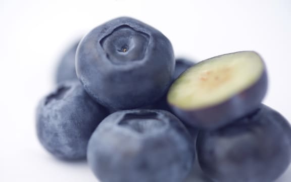 Plant and Food Research is trying to breed a hybrid superfruit that combines the taste and growing characteristics of blueberries with the colourful flesh of bilberries.