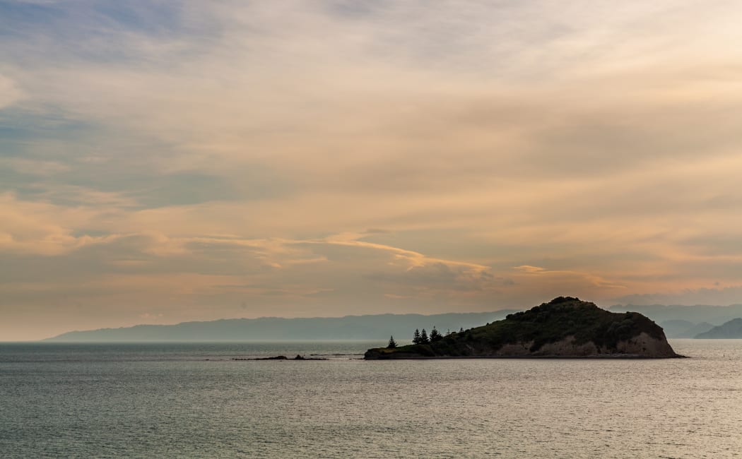 Tuamotu Island, Gisborne