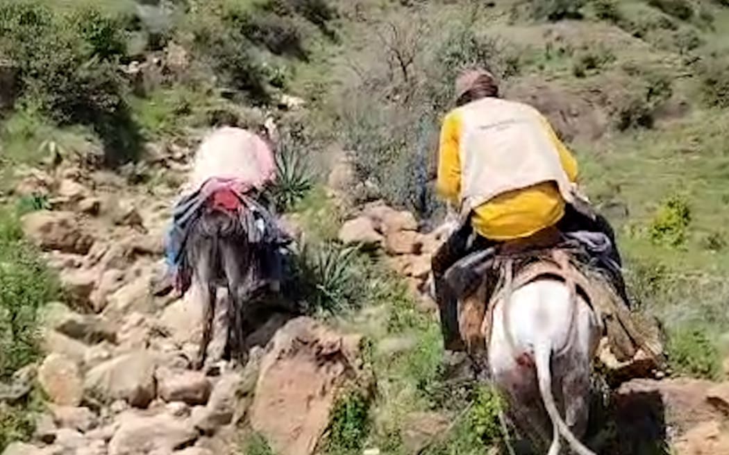 Two World Vision staff use donkeys to cross difficult terrain in Sudan's Marra Mountains.