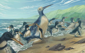 An illustration of a giant penguin with a long beak exiting the ocean onto a sandy beach. It is surrounded by smaller penguins, also with long beaks.