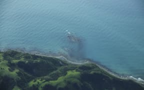 Kaikoura coast