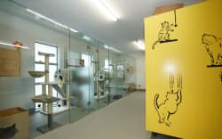Some of the rooms at Pet Refuge