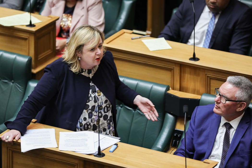 Labour MP Megan Woods in the House