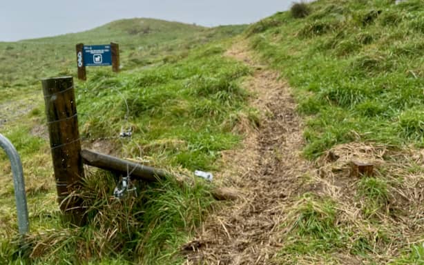 Illegal dirt bike riders terrify livestock, tear through native trees ...