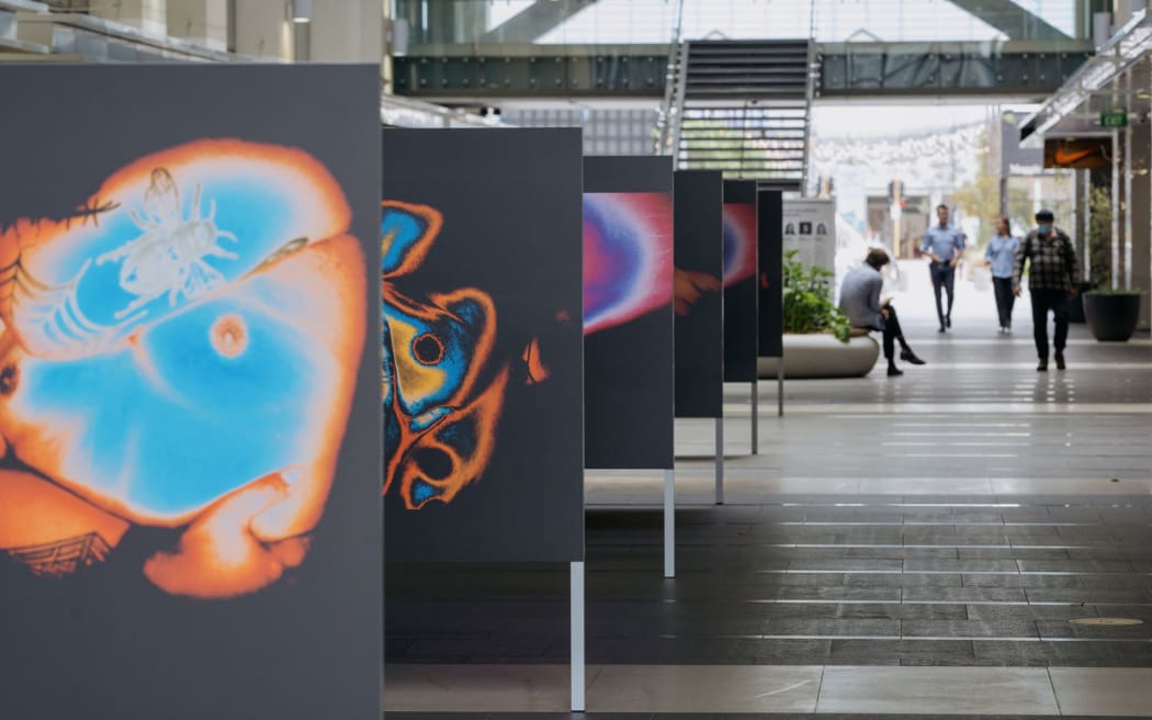 Liam Brown's work as part of Auckland Pride's first Takatāpui Festival - Te Tīmatanga.