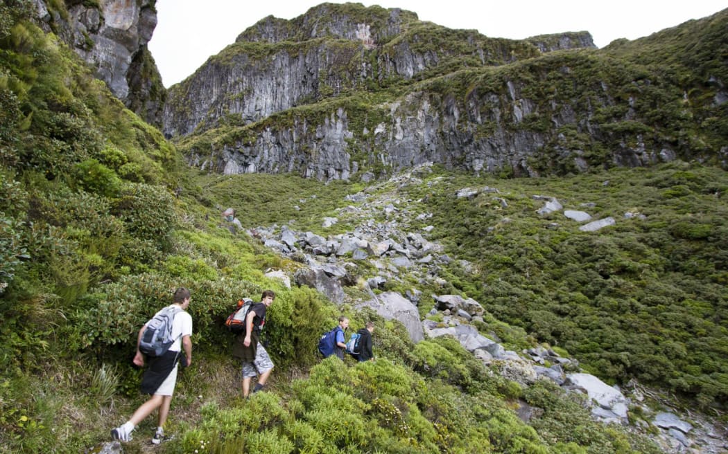 Walking along the Holly Hut Track - Taranaki
