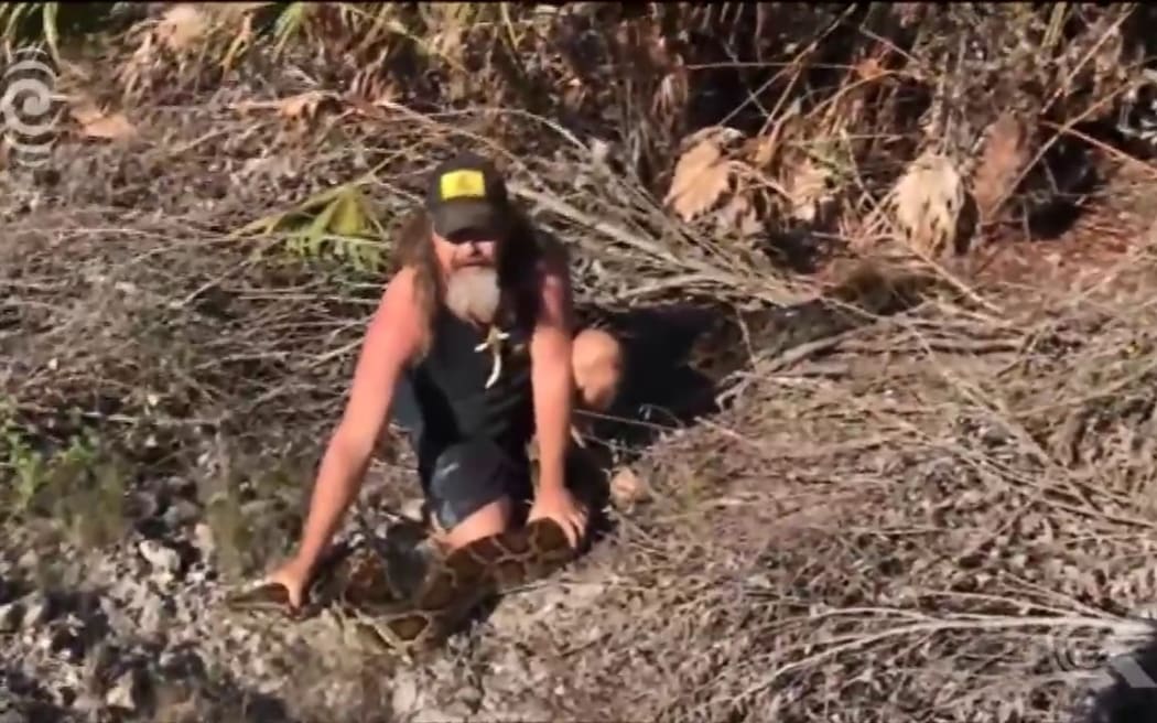 Python hunter catches 5m long snake in the US