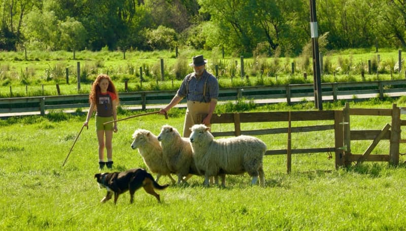 First look on set of A Dog's Show with Unaiki Stephens-Jones (Lucy) and Graham McTavish (Jack).