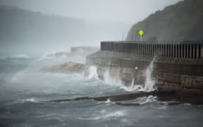 Wellington weather: Balaena Bay
