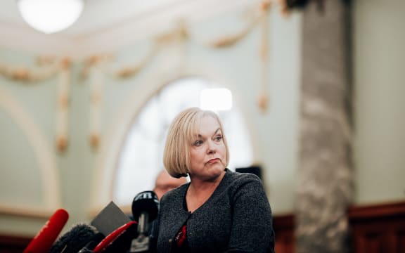 National leader Judith Collins 17/02/21