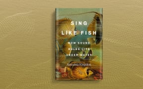 Sing like a fish book cover