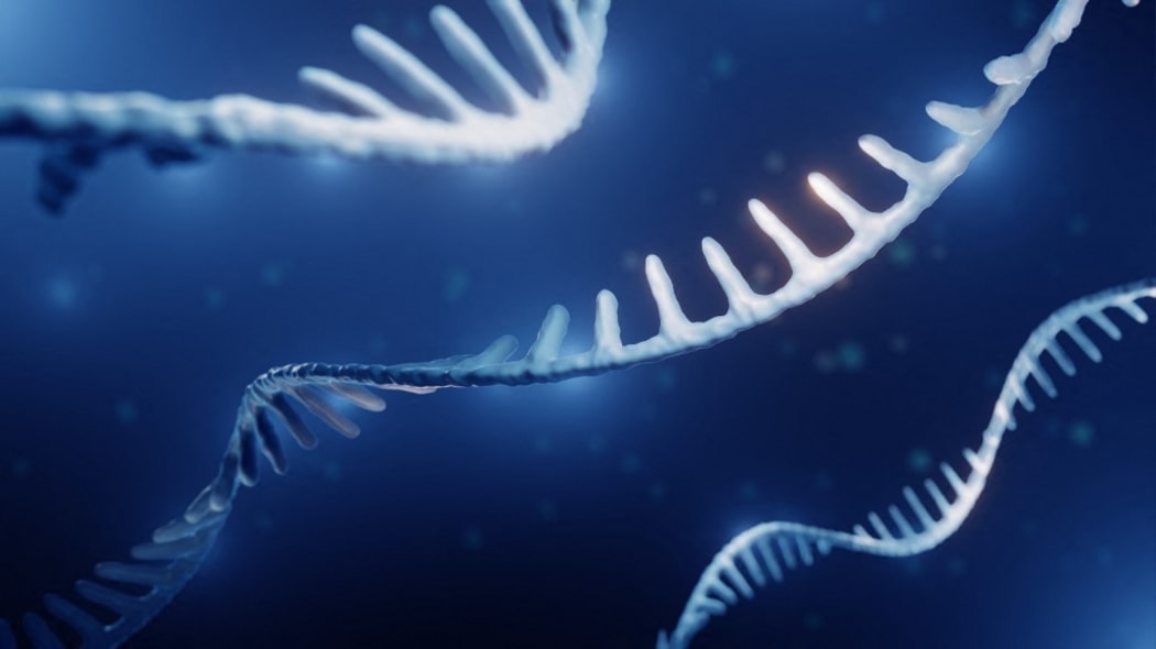 Illustration of RNA (ribonucleic acid).