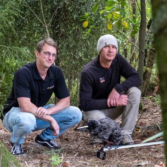 A group of Canterbury students have joined forces with National Kiwi Hatchery in Rotorua to develop a new tool - the robo kiwi - that discourages dogs from attacking and killing the national bird.