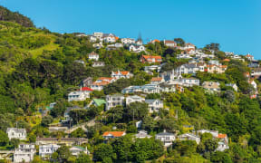 Wellington houses.