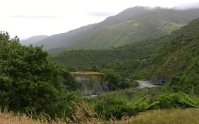 The Ōtaki River at the Ōtaki Forks area, which has been partly cut off since 2020.