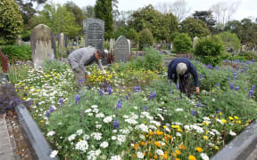 Volunteers put in all their effort to transform New Plymouth's oldest cemetery.